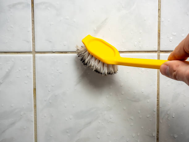 Mold Removal Process in Bridgeport, TX