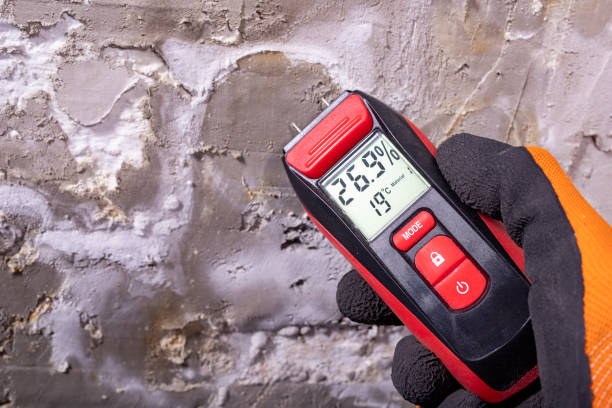 Best Water Damage Restoration  in Bridgeport, TX