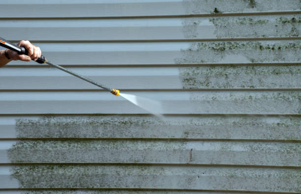 Best Attic Mold Removal  in Bridgeport, TX