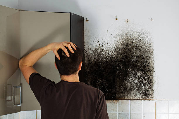 Best Crawl Space Mold Removal  in Bridgeport, TX